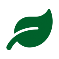 leaf-solid